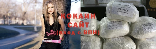 соль ск Алзамай