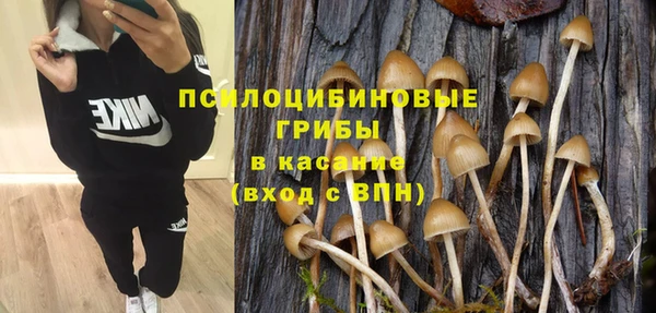 прущие крисы Аркадак
