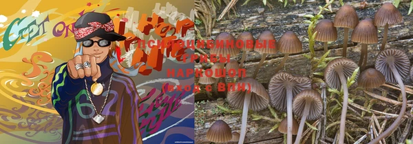 индика Пестово